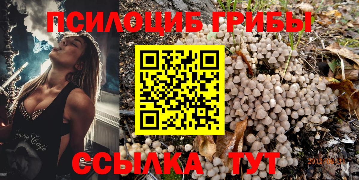 Псилоцибиновые грибы ЛСД Кандалакша